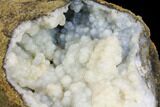 Long, Botryoidal, Chalcedony Filled Limb Cast - Indonesia #147546-1